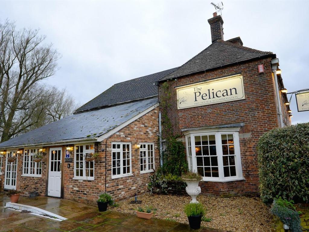 The Pelican 3*